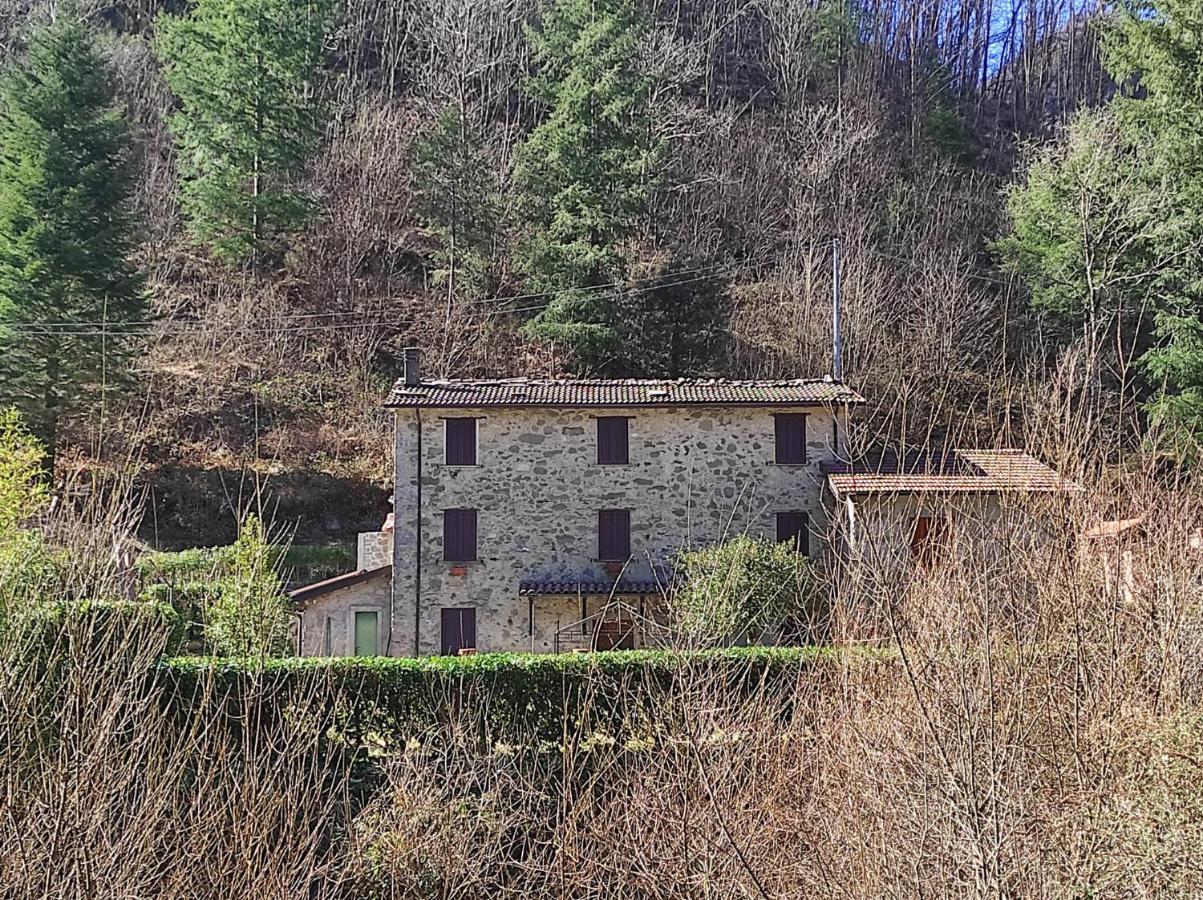 Casa Vacanze Il Boscaccio "Casa Massimo" Fornovolasco Exterior foto